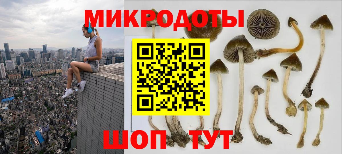 Галлюциногенные грибы Cubensis Губкинский